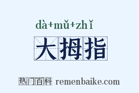 大拇指是什么意思的图片